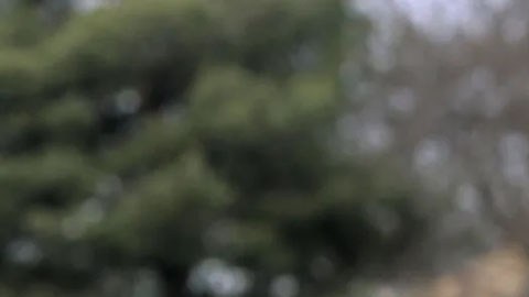 Escena del crimen
