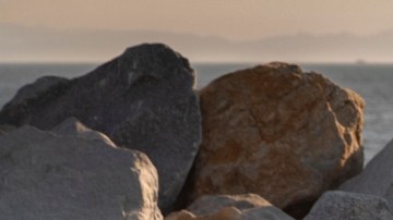 Lexus LC 500 Convertible 2023