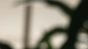 Patrick McHenry, expresidente temporal de la Cámara de Representantes