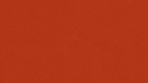 Samuel García deja aspiraciones presidenciales en México y regresa a sus funciones como gobernador de Nuevo León