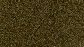 Ron DeSantis, gobernador de Florida