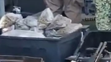 Decomiso de armas
