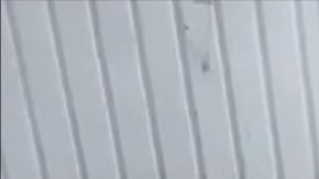 Interrogatorio a sicarios