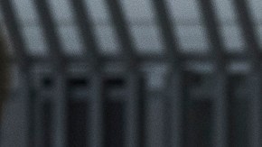 Carlos Lazaritt, activista.