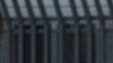 Carlos Lazaritt, activista.