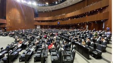Fuerza Migrante interpone juicio en contra “simulaciones” en diputaciones y senadurías Migrantes