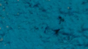 El cantante dominicano estadounidense, partywatcher, fusiona varios géneros en su música.