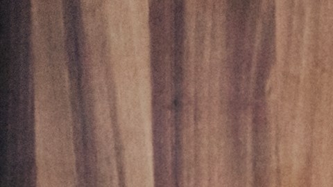 Signos zodiacales hábiles analizando