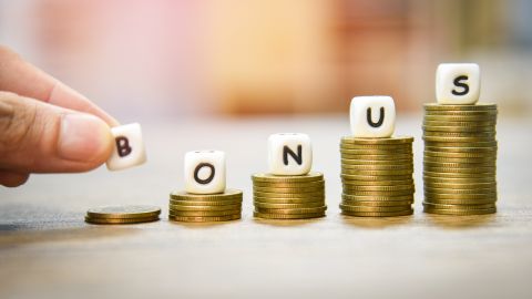 Bonificación navideña