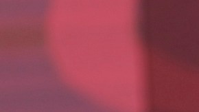AMLO califica de “sinceridad” que embajador Salazar acepte que 70% de las armas que llegan a México son de EE.UU.