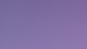 Nutricionista de Harvard revela 6 reglas para mantener un cerebro alerta y feliz