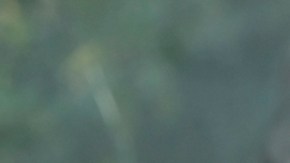 El VSR pediátrico provocó tasas de hospitalización más altas que el omicron o la gripe