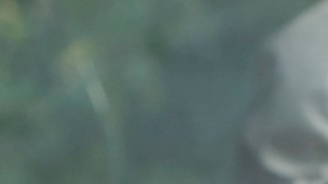 El VSR pediátrico provocó tasas de hospitalización más altas que el omicron o la gripe