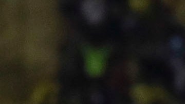 El defensa mexicano de Las Palmas Julián Araujo celebra su gol durante un encuentro correspondiente a la decimoquinta jornada de LaLiga disputado ante el Getafe en el Estadio Gran Canaria.