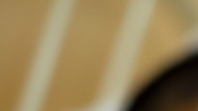 OMS alerta por casos de dengue en todo el mundo debido al aumento de temperaturas