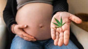 Consumo de cannabis durante el embarazo afecta a la placenta: estudio