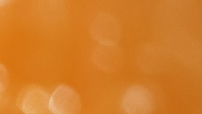 signos que tendrán su propio hogar en 2024