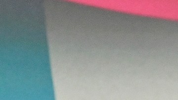 Hugh Grant y Timothée Chalamet