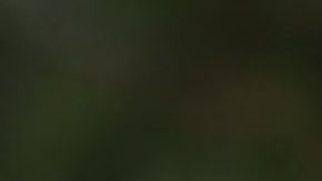 La asambleísta Luz Rivas compite por el distrito 29 del Congreso.(Cortesía campaña Luz Rivas)