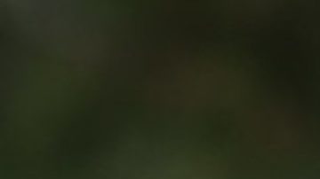 La asambleísta Luz Rivas compite por el distrito 29 del Congreso.(Cortesía campaña Luz Rivas)