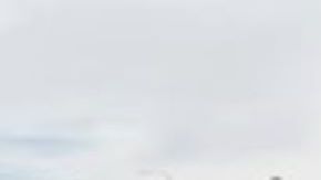 Los inmigrantes viajaron en avión a Chicago.