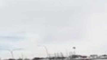 Los inmigrantes viajaron en avión a Chicago.