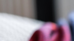 FDA alerta sobre medicamentos para mascotas que pueden ser perjudiciales para los humanos