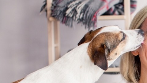 Vivir con mascotas puede retrasar el deterioro cognitivo
