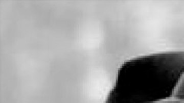 AC/DC comunicó el fallecimiento de su primer baterista, Colin Burgess.