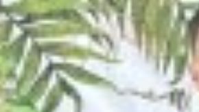 Matthew Guerra y Savanah Nicole Soto estaban siendo buscados por familiares.