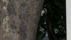 Novo Nordisk se enfoca en la creación de medicamentos para prevenir el aumento de peso