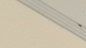 Gabriela Leos aparece con su abogado David Torres Siegrist.