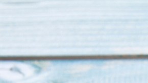 Suplementos naturales de té de Guayusa y la melena de león mejoran el rendimiento cognitivo