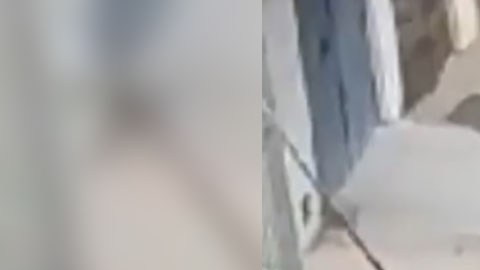 violencia en Brasil
