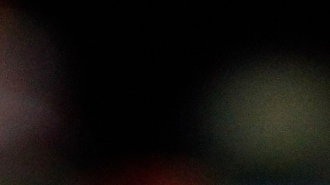 Los Xolos de Tijuana de Miguel Herrera cayeron en los últimos minutos ante las Águilas del América.