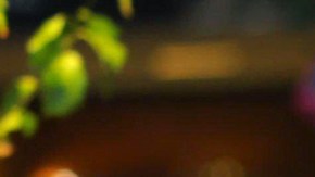 Margot Robbie sobre no haber sido nominada al Oscar por Barbie: “Cambiamos la cultura y esa es la mayor recompensa”