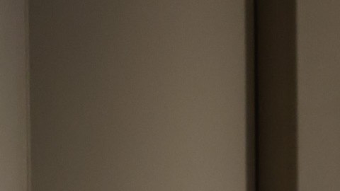 LACO presentará el talento de la diáspora latinoamericana, incluyendo trabajos de Tania León, Carolina Heredia, Angélica Negrón, Violeta Parra, Camilo Gonzalez-Sol y Marcos Balter.