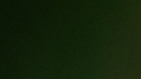 Año del Dragón de Madera colores Feng Shui