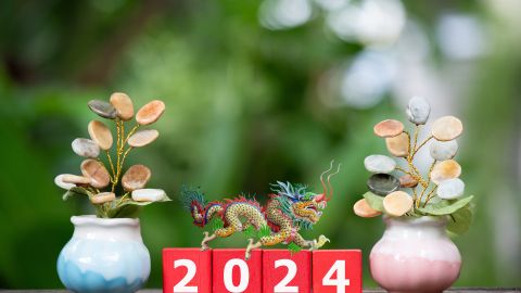 Año del Dragón de Madera colores Feng Shui