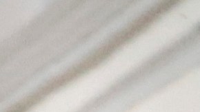 Mascotas en México reciben la bendición de San Antonio Abad para tener muchos años de vida