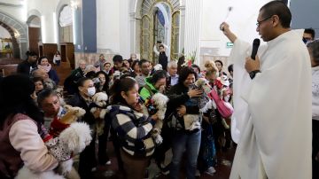 Mascotas en México reciben la bendición de San Antonio Abad para tener muchos años de vida