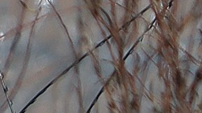 La Guardia Nacional de Texas tiene bloqueado un parque fen Eagle Pass e impide el acceso de la Patrulla Fronteriza.