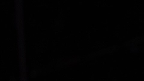 Javier "Chicharito" Hernández durante la ceremonia de su presentación en el estadio Akron, casa de las Chivas de Guadalajara.