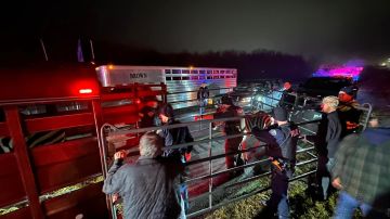 Rescatan a animales de circo del incendio de un camión en una carretera de Indiana