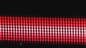 El cantante Irvin Salinas Martínez, conocido como Pee Wee, habría sido arrestado en Estados Unidos, lo que generó preocupación entre sus seguidores.