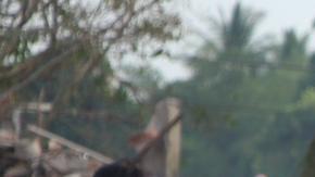 Al menos 20 muertos en Tailandia por explosión en fábrica