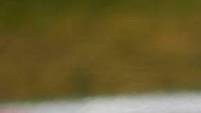 Lando Norris aseguró que el obstáculo para llegar a Red Bull fue Verstappen.