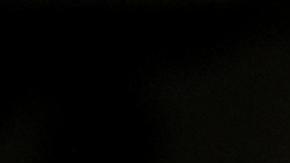 El papa Francisco pide prohibir la maternidad subrogada