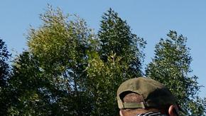 Bombardeos de EE. UU. en Irak: "violación de soberanía"