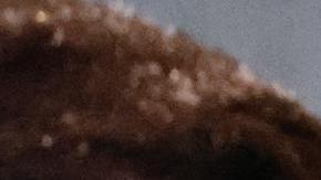 La escrita E. Jean Carroll acusó a Trump de violación.